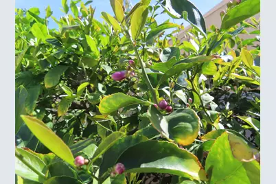 3092 Sunflower Circle E #90, Palm Springs, CA 92262 - Photo 10