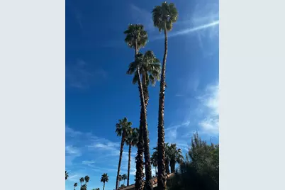 2466 E Oakcrest Drive, Palm Springs, CA 92264 - Photo 18