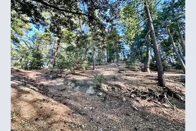 0 Green Craig, Idyllwild, CA 92549 - Photo 8