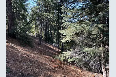 0 Green Craig, Idyllwild, CA 92549 - Photo 16