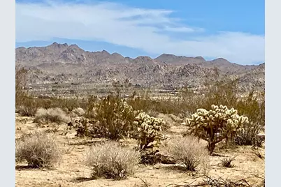 117 Border Road, Joshua Tree, CA 92252 - Photo 8