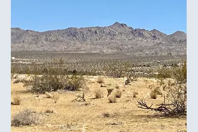 117 Border Road, Joshua Tree, CA 92252 - Photo 14