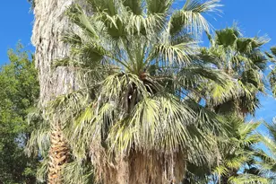 18131 Langlois Road, Desert Hot Springs, CA 92241 - Photo 20