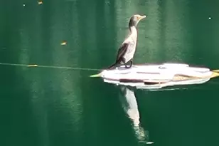 98 N Paseo Laredo N, Cathedral City, CA 92234 - Photo 62