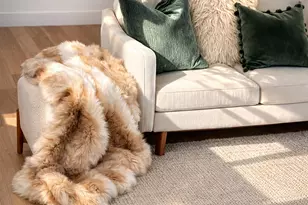 53840 Avenida Carranza, La Quinta, CA 92253 - Photo 10