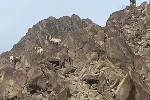 77680 Tradition Dr, La Quinta, CA 92253 - Photo 36