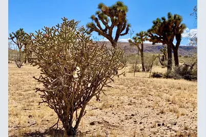 1588 Old Woman Springs Road, Yucca Valley, CA 92284 - Photo 62