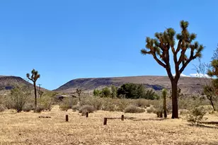 1588 Old Woman Springs Rd, Yucca Valley, CA 92284 - Photo 60