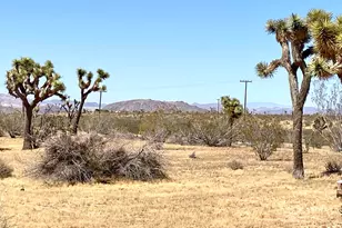 1588 Old Woman Springs Rd, Yucca Valley, CA 92284 - Photo 56
