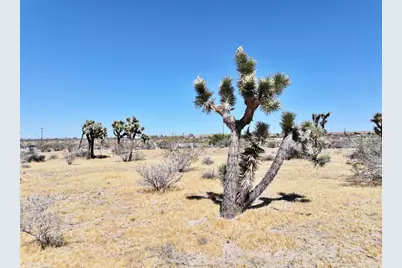 1588 Old Woman Springs Road, Yucca Valley, CA 92284 - Photo 48