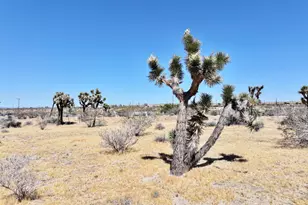 1588 Old Woman Springs Rd, Yucca Valley, CA 92284 - Photo 48