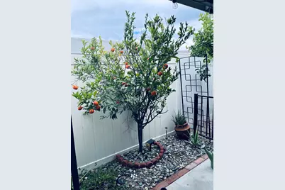 246 Laredo Drive, Palm Springs, CA 92264 - Photo 16