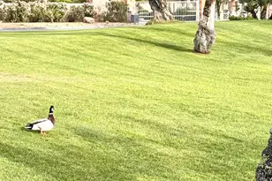 153 Willow Lake Dr, Palm Desert, CA 92260 - Photo 22