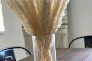 42873 Della Pl, Indio, CA 92203 - Photo 20