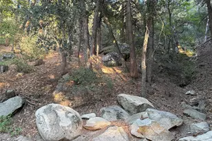 00000 Tahquitz View Dr, Idyllwild, CA 92549 - Photo 1