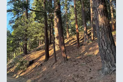 00000 Tahquitz View Drive, Idyllwild, CA 92549 - Photo 4