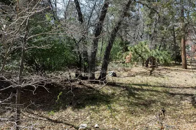 1530 Tuolumne Road, Big Bear Lake, CA 92314 - Photo 26