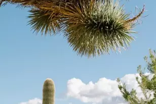 7092 Mohawk Trail, Yucca Valley, CA 92284 - Photo 42