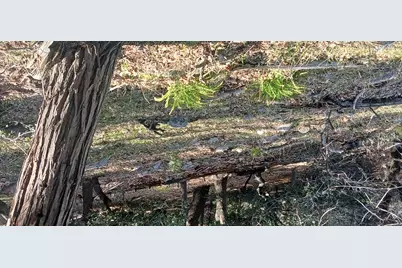 0 Alder Creek Road, Crestline, CA 92325 - Photo 4