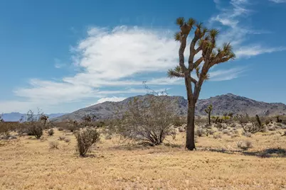 60531 Cielito Drive, Joshua Tree, CA 92252 - Photo 4