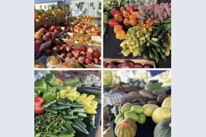 74711 Dillon Rd Spc 740, Desert Hot Springs, CA 92241 - Photo 20