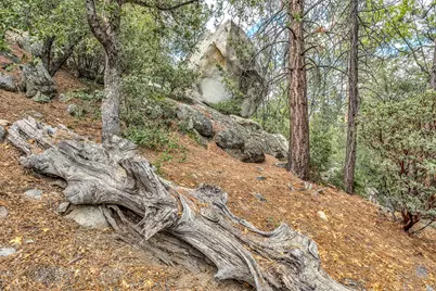0 Lakeview Drive, Idyllwild, CA 92549 - Photo 20