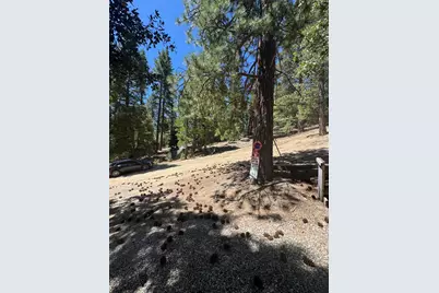 52660 Forest Route 4S02, Idyllwild, CA 92549 - Photo 22