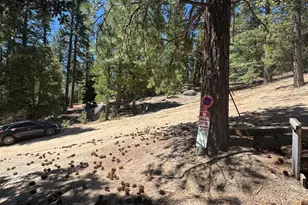 52660 Forest Rte 4S02, Idyllwild, CA 92549 - Photo 22