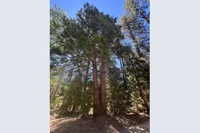52660 Forest Route 4S02, Idyllwild, CA 92549 - Photo 70