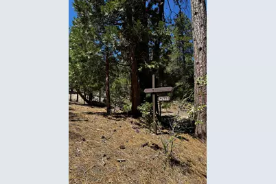 52660 Forest Route 4S02, Idyllwild, CA 92549 - Photo 18