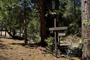 52660 Forest Rte 4S02, Idyllwild, CA 92549 - Photo 18
