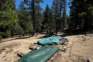 52660 Forest Rte 4S02, Idyllwild, CA 92549 - Photo 88