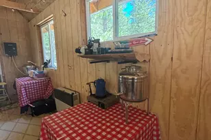 52660 Forest Rte 4S02, Idyllwild, CA 92549 - Photo 30
