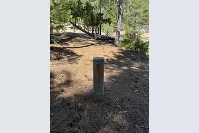 52660 Forest Route 4S02, Idyllwild, CA 92549 - Photo 74