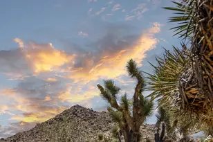 61217 Sandalwood Trail, Joshua Tree, CA 92252 - Photo 56