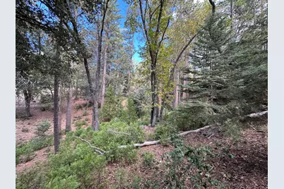 Address Not Available, Idyllwild, CA 92549 - Photo 6