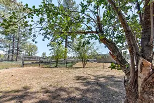 35290 Butterfly Peak Rd, Mountain Center, CA 92561 - Photo 6