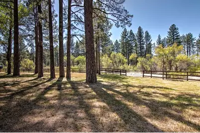35290 Butterfly Peak Road, Mountain Center, CA 92561 - Photo 66