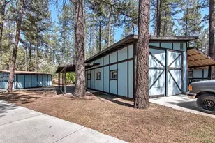 35290 Butterfly Peak Rd, Mountain Center, CA 92561 - Photo 58