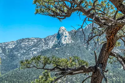 54720 Falling Leaf Drive, Idyllwild, CA 92549 - Photo 58