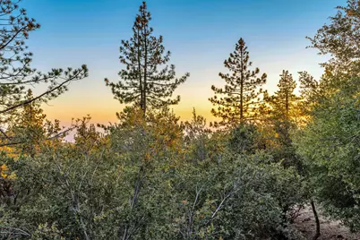 22541 Hwy 243, Idyllwild, CA 92549 - Photo 34
