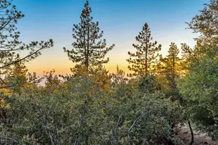 22541 Hwy 243, Idyllwild, CA 92549 - Photo 34