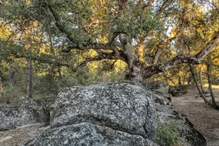 22541 Hwy 243, Idyllwild, CA 92549 - Photo 28