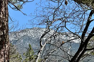 53226 Overlook Dr, Idyllwild, CA 92549 - Photo 4