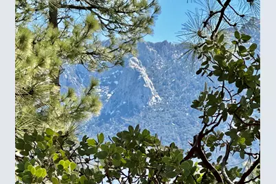 53226 Overlook Drive, Idyllwild, CA 92549 - Photo 6