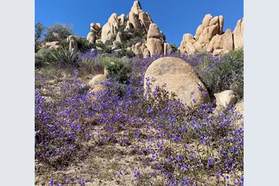 5850 Cactus Canyon Trail, Yucca Valley, CA 92284 - Photo 6
