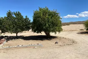 5056 Lazy Ln, Johnson Valley, CA 92285 - Photo 16