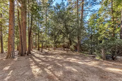 52402 Pine Ridge Road, Idyllwild, CA 92549 - Photo 66