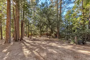 52402 Pine Ridge Rd, Idyllwild, CA 92549 - Photo 66