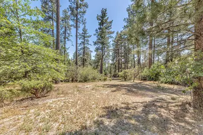 54425 Jameson Drive, Idyllwild, CA 92549 - Photo 88